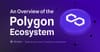 Polygon ecosystem overview 2024