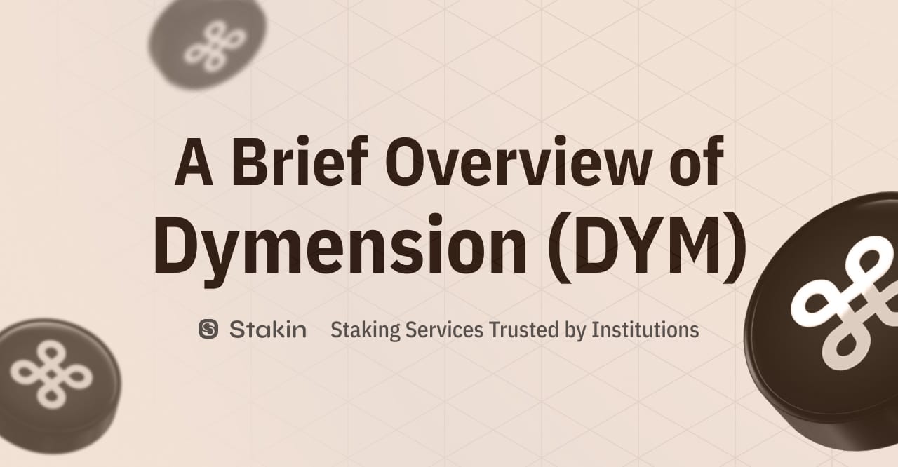 Meet Dymension - A New Way of Addressing Scalability Issues with Blockchains