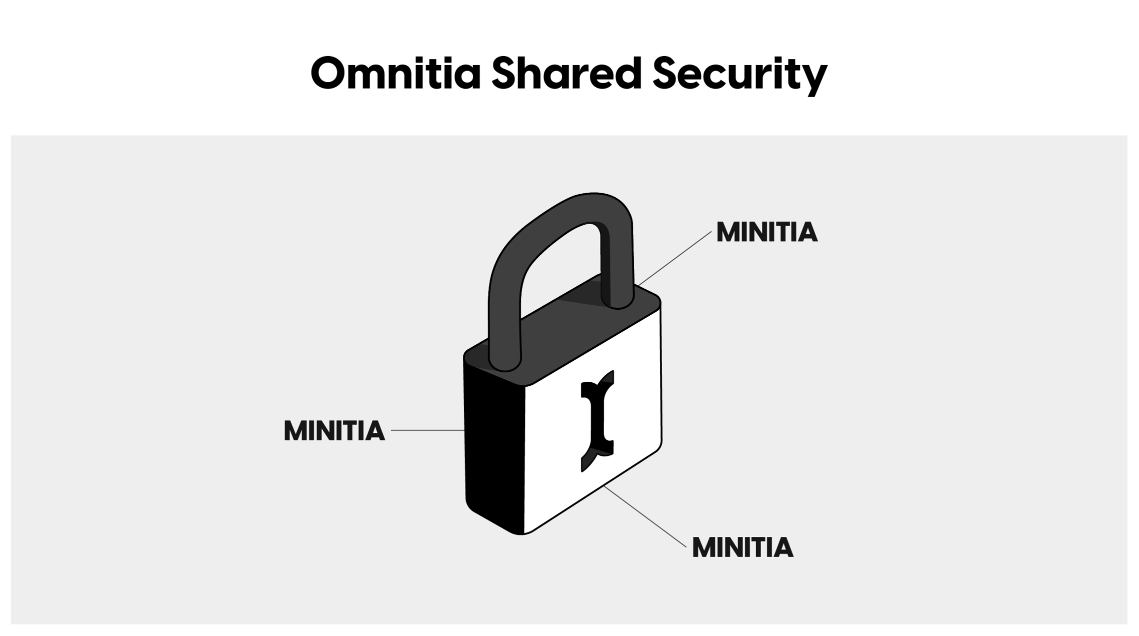 Omnitia Shared Security Illustration