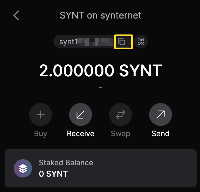 Overview of SYNT wallet on KEPLR