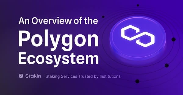 Polygon: A 2024 Ecosystem Overview